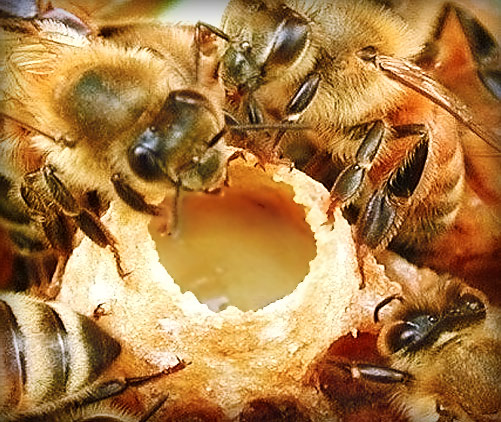 �������� ������� � ������ ������