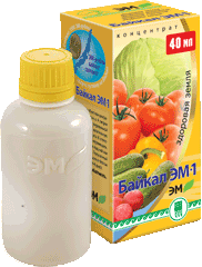 ���� �������. ������ ��� �����-17. �������������, �������� ���! �� 2 ������ ��������� ����������������� �����