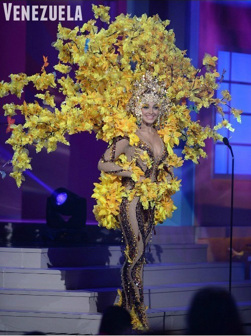 ���� ��������� 2015 ����. ������������ �������.