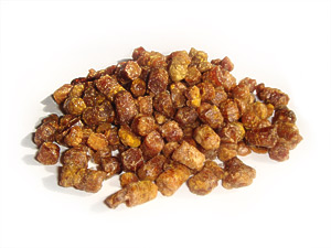 �������� �����