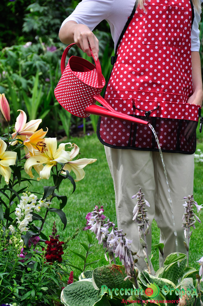 ��������� ������� �������!