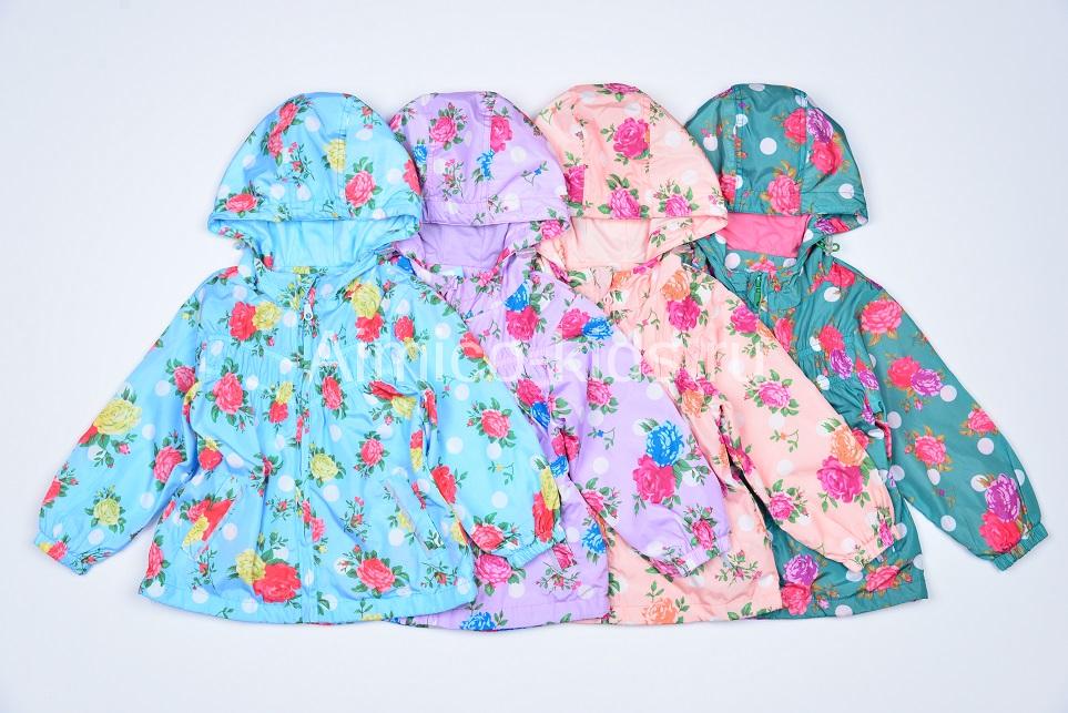 ���� �������. ������� ����� � �����-����: ������������ �������, ������, ��������, � ��� ����������� ������� � �����������., ������ � ������ ��� ����. ������� � 62 �� 122, ������� ����. ����� 2.