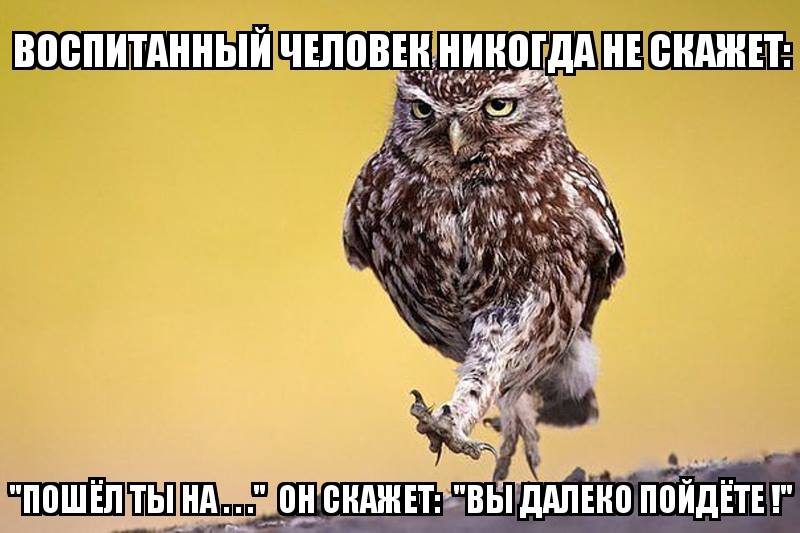 ���������, � ������ ���� ������...