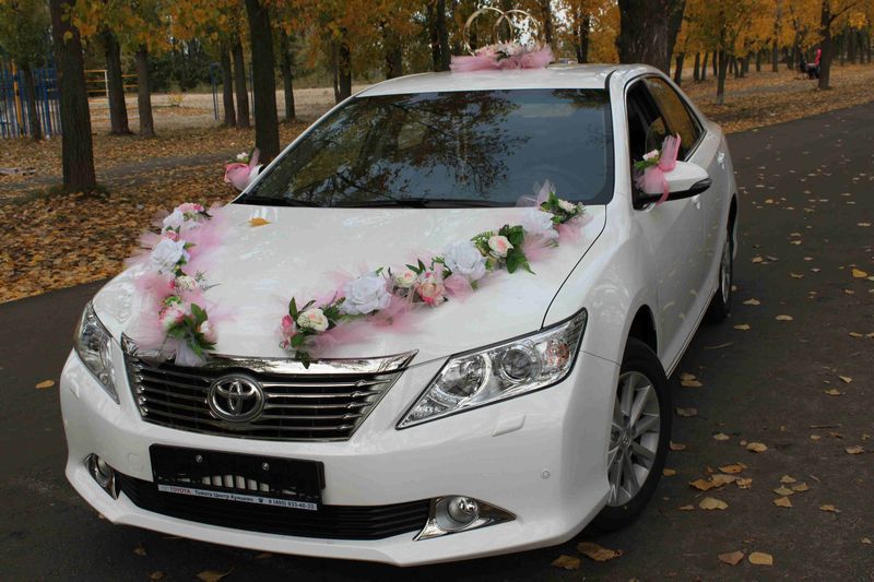 ���� �� ���� ������� � �� ������ ������������ ���������