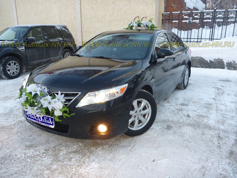 ���� �� ���� ������� � �� ������ ������������ ���������