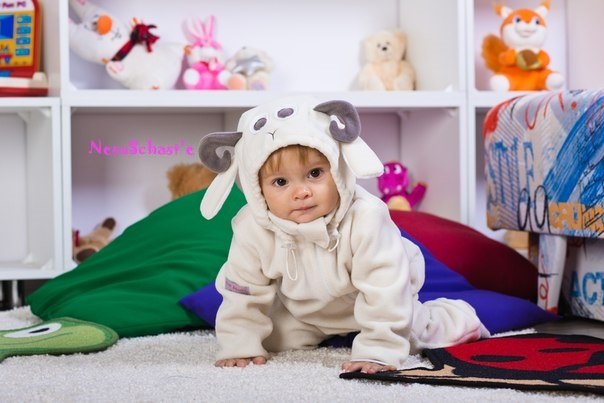 ���� �������. �������� ��������������-������, �����, �����, ������������ �����������, �������- �������, ��������, �����