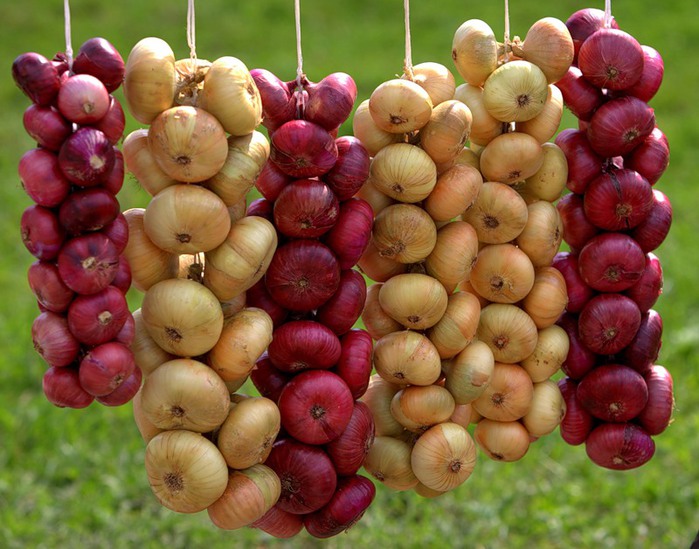 ���-�����. ������ �����! ������ 2 ���!