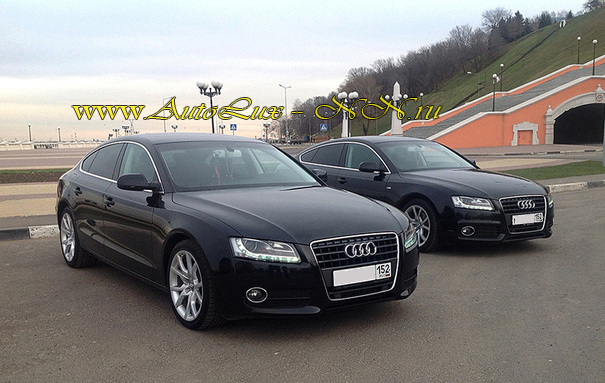 ���� �� ���� ������� � �� ������ ������������ ���������