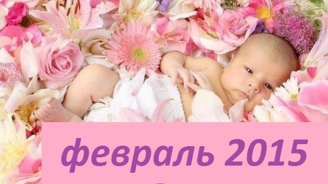  ���� �������. ������������ � ����������� ������ ��� ����� �������. ��������- ������� 15. �������� ����� �������. ��� �����.