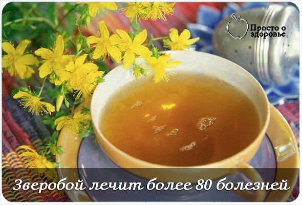 �������� ����� ����� 80 �������� - �������� ��������