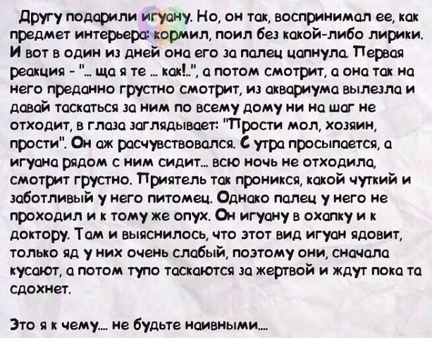 � �������� ��������