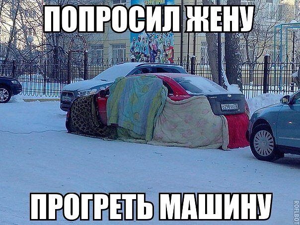 ���������� ����