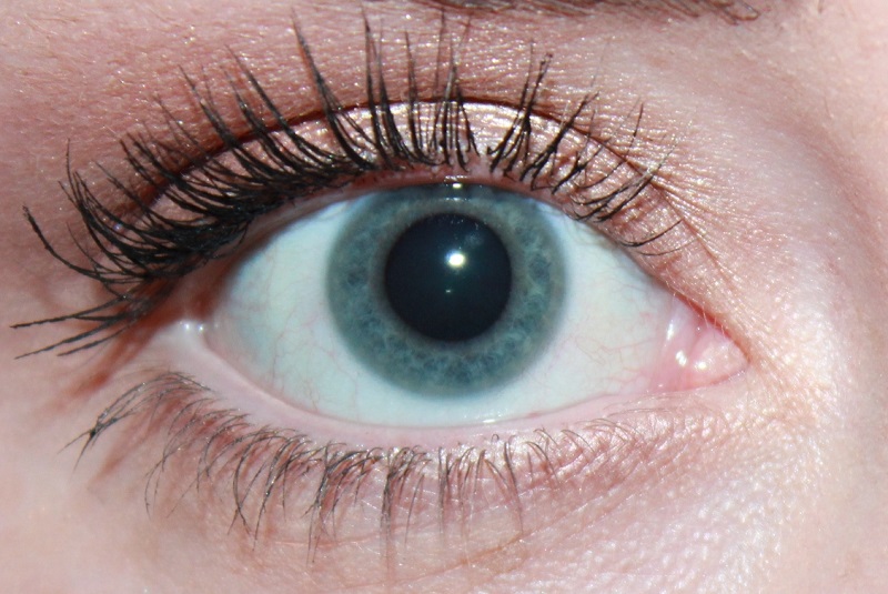 ���� ��� ������ Sleek make up �� ������ ����