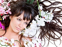 ���� �������. ������������ ���������. ������������������ ����������� ��������� ��� ����� ������� � ��������