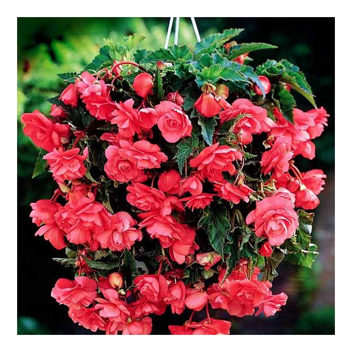 ������� � ������� �������������! ��������!