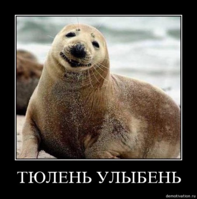 ���� �� ������� �����...