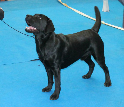 22.02.15 ���������!