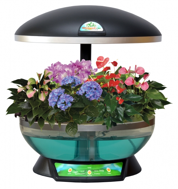 ���� �������.��������� �������� ��� ������ � ����� ������ � ��� ����