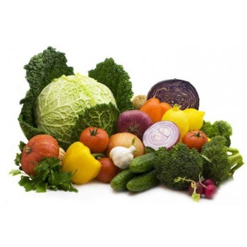 ���� �������. ������ �����, ������� ������-��, ����������,������, ���������, �����, �����, �����. ��� �����. ��� ��