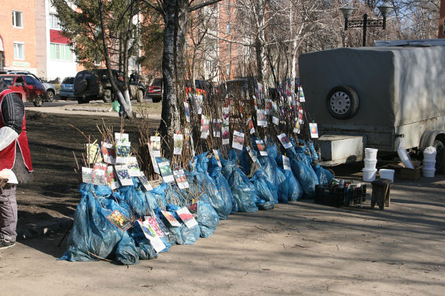 ����� ��������