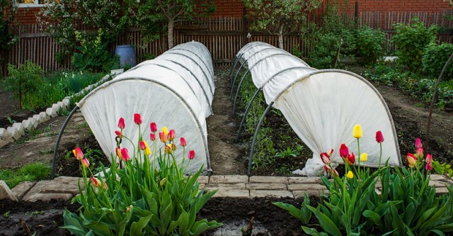 ���� �������. ���� ������ ��@����@���� ��������� ������� ��� ��������. ��� ������