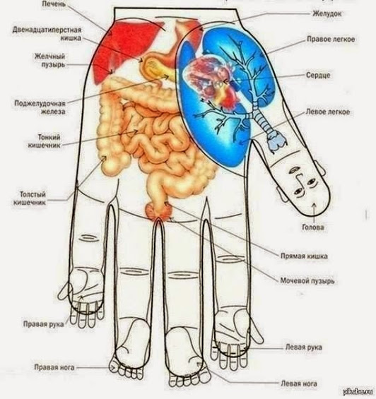 ������ ������ ��� ���