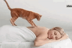 ������ ��� �� ?