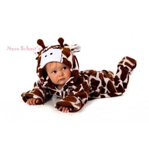 ���� �������. �������� ��������������-������, �����, �����, �������- �������, ��������, �����