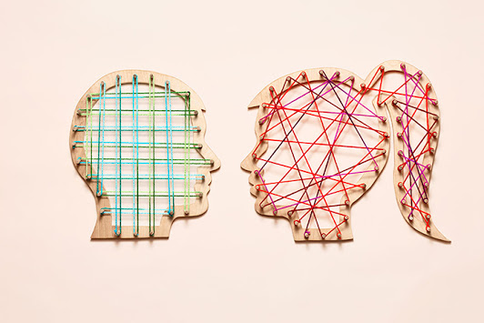 ������ ���� � �������� ���������