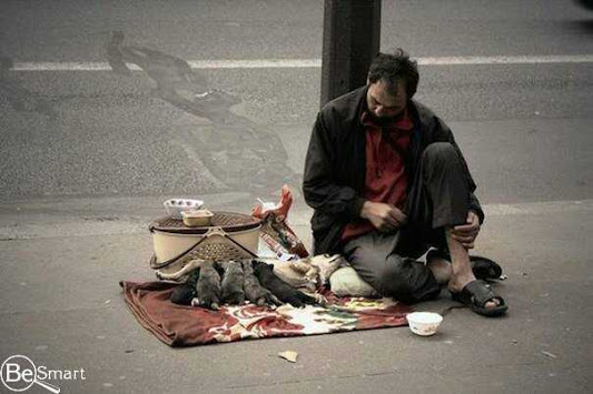 ��� �������, ������� ���������� ����������.