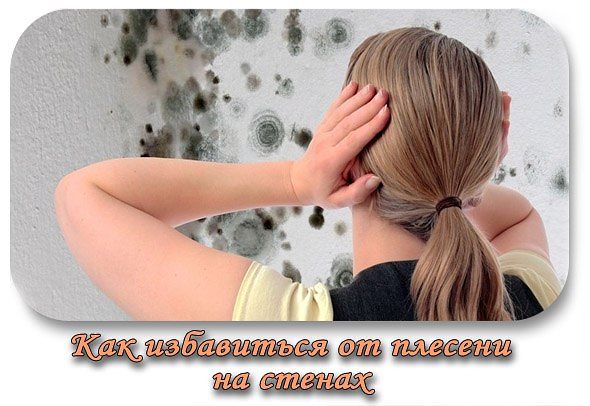 ��� ���������� �� ������� �� ������