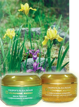 ���������� �������� ������������ ��������� 