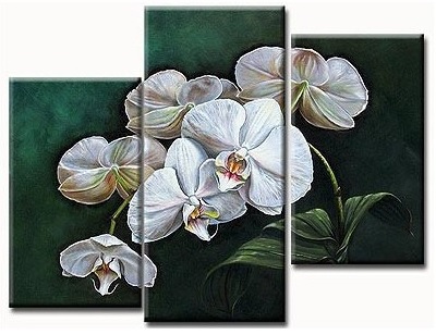 ���� �������. �������� ��������� �����������-6. �������� �����. ����������, ����������, �������, ������, �����, �����, �������. ��������� �������. �������� ���� �� 343 ���.