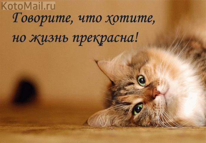 ����� ������ - ��� ����...
