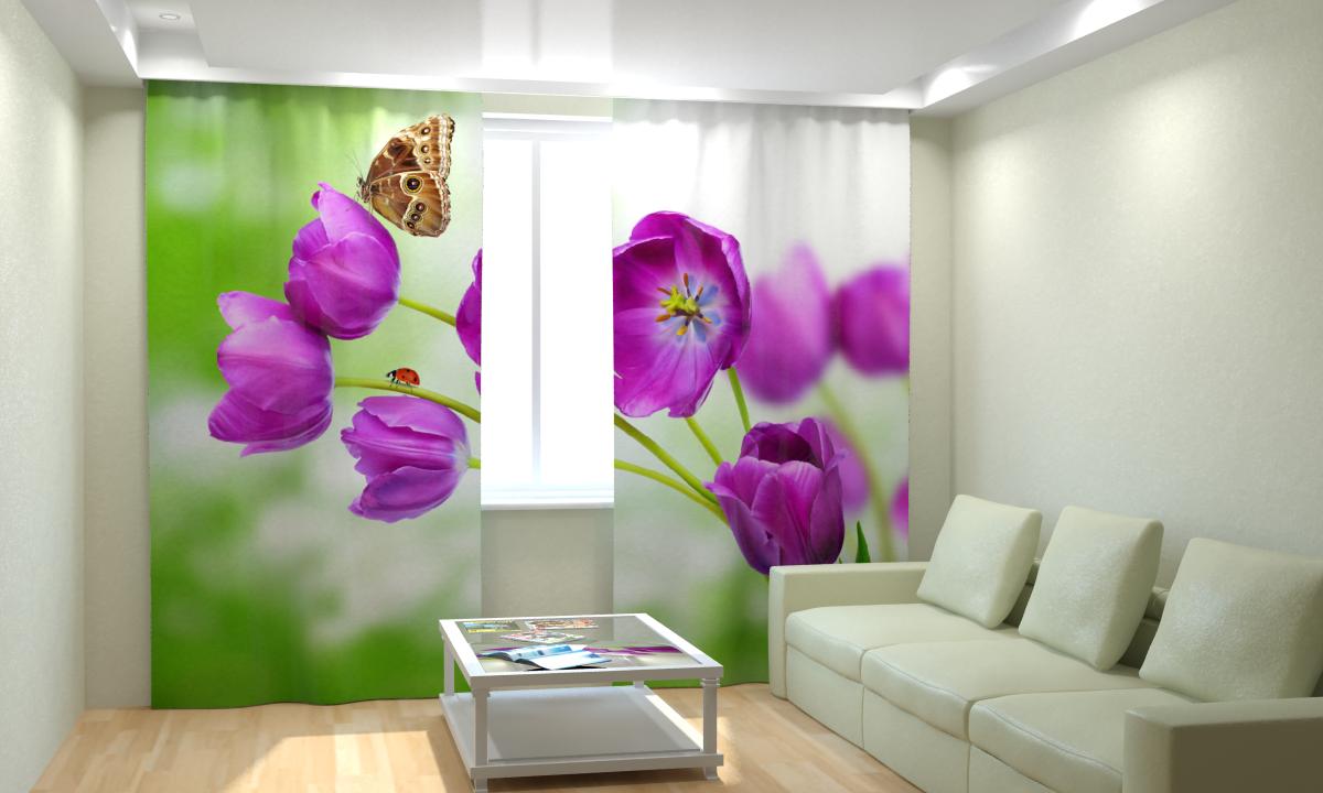 ���� �������. ���������, ��������, ������������, ������������� �� ���-�����. �������� ����� ���������, ���� ����������� �������� ���� ������