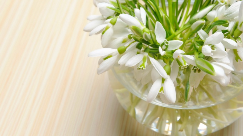 � ���������� 8 �����!