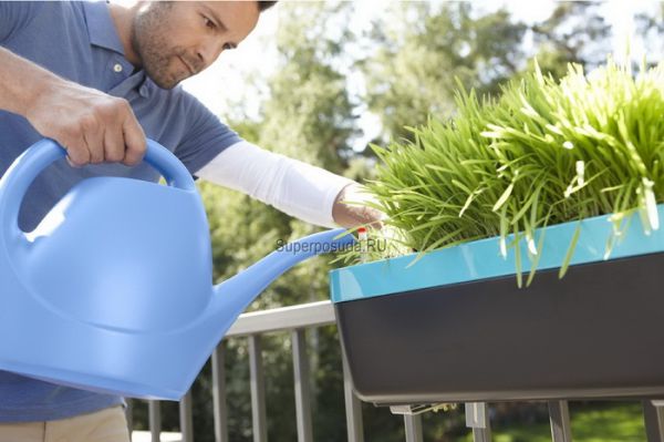 ���������� ��������!!! ��������� ������ ��� ����, ���� � ������� �ms@ - ��������!!!! � ���o�o�u��� � ���. �����������, ��������, �����! ����� �����! ��������!!!