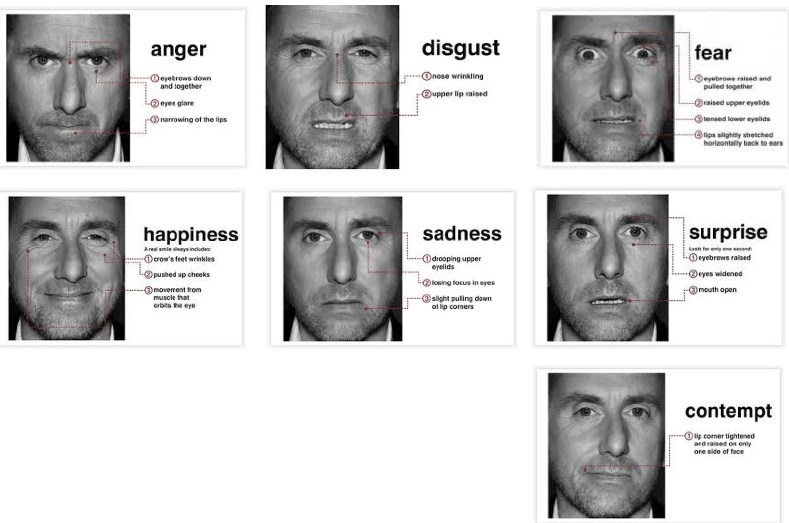 ���� ����� ������