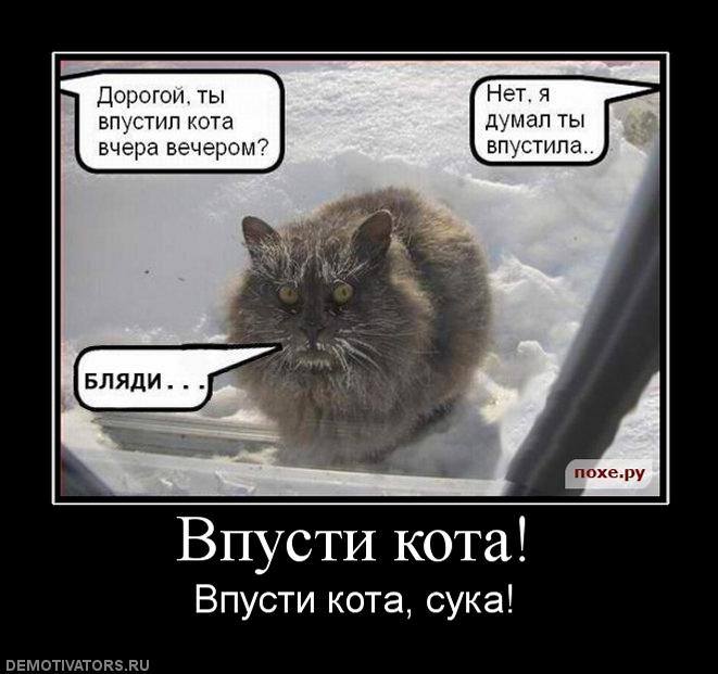 �����....