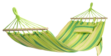 ���� �������.