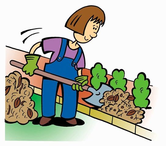 �������� ����������� ��������