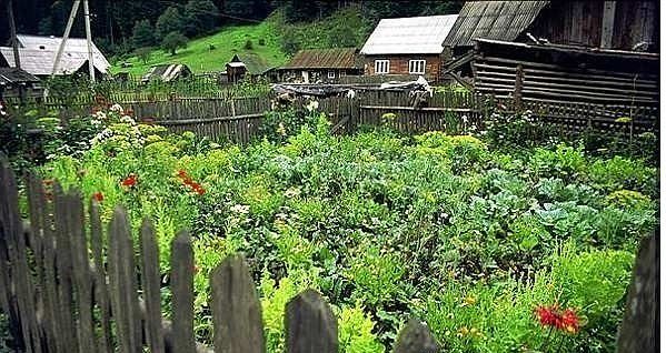 �������� ������� ��� ���������-�����������