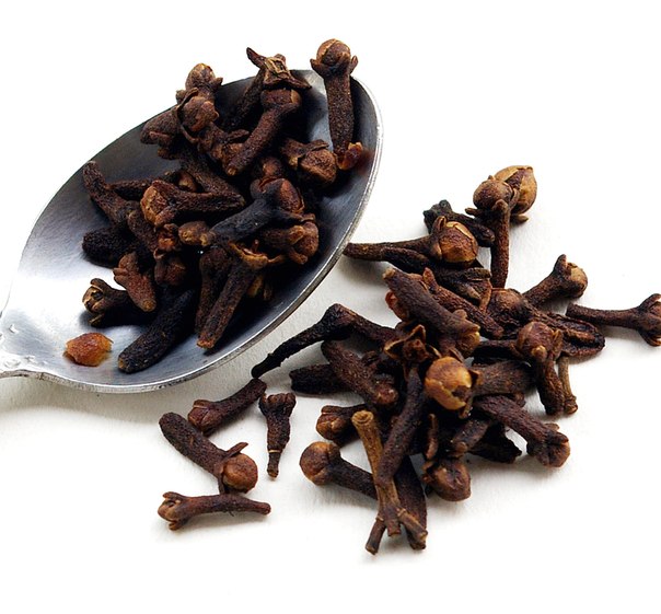 ������������� ����� ��� �������