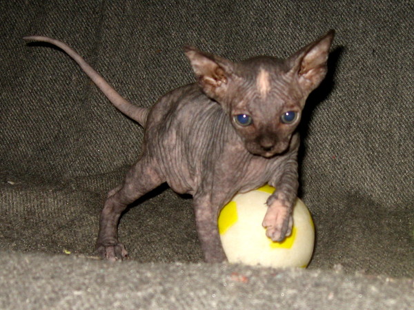 ���� � ���� ���� ������������ �����.)))