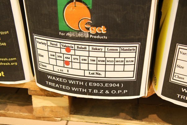 ���������� ��� �����������. ��� ������������ ���������.