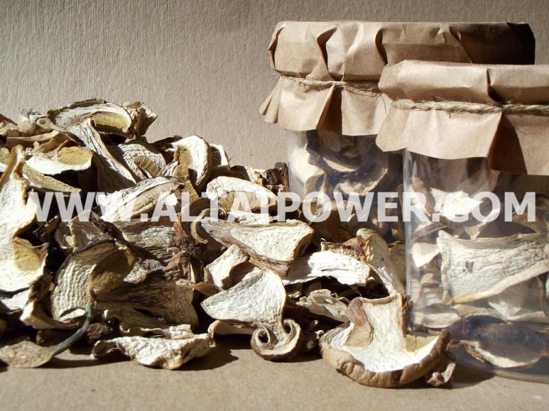 ���� �������. ��������� �����, �������� �����, ����� , ��� � �����, ������ ��������! �������� ���� ��������! ������� : �������� ��� � ������������ ��� , �������� ! ����� -4 