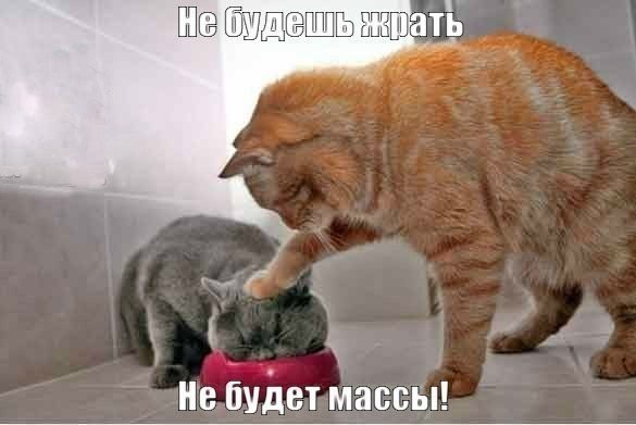 ������ �������� �����