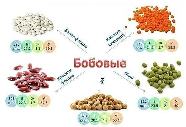 � ������ �������