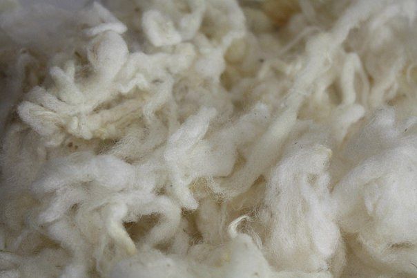 �������� �������� ������