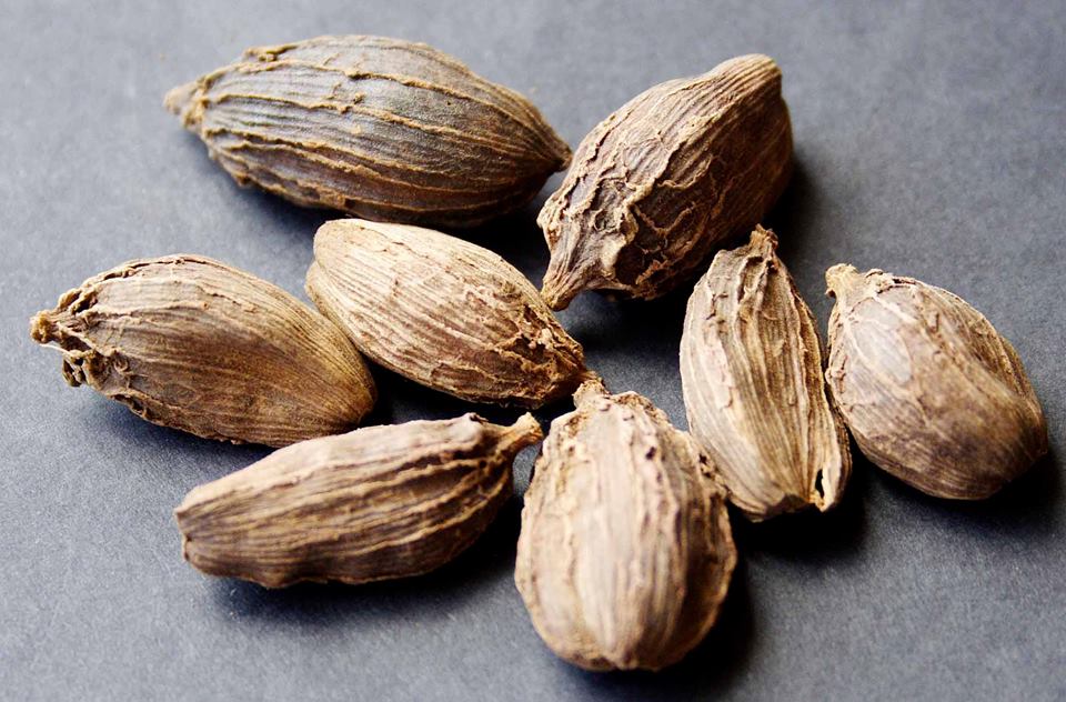 ���� ������ ��������. ������� ������.